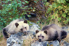 Canada-Yukon&Alaska-Tatshenshini River Rafting